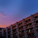 嘤嘤嘤鸭