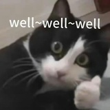哦莫莫哦