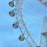 🎡