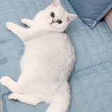 睡不醒..zzZZ
