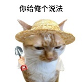 我扛我爆