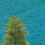 爬山吗