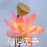 桃桃桃桃跑