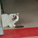 玛卡巴卡