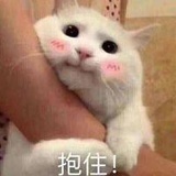 我的鱼干呢