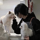 雾月
