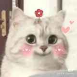 宝子