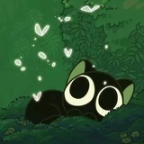 小白