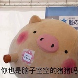 取名字好难呀
