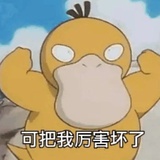 算了哥算了