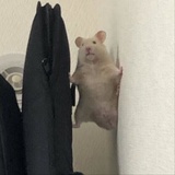vivikunxxx