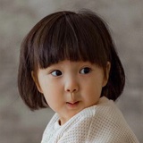 欧码杉菜