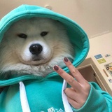 窝怒的小锁