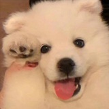 摩天轮转转