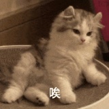 人间小乐色