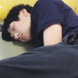 挞挞蛋蛋