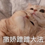 一只小努力