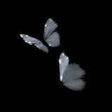 不告诉你我是谁