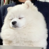 无问