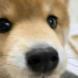 七七八八