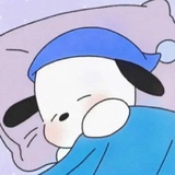 崽崽xxi