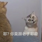 222