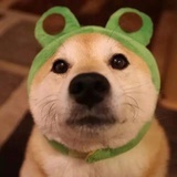 体育财经