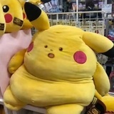 阿白