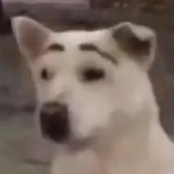 好的