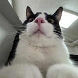 须弥