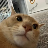 你协防好差