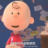 不做流浪小狗
