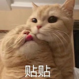我命运的老婆