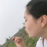 明镜亦非台