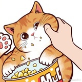 路在脚下的cat