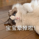 🌞小花