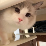 每天进步一点点
