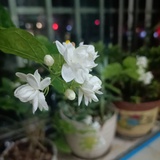 明天会有希望