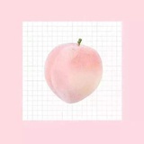 热爱生活的7崽
