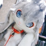 我不是猫
