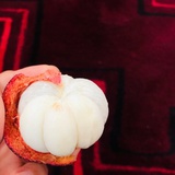 一只十八