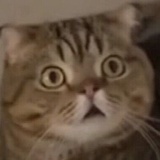 咩
