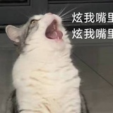 琛琛可可拉拉克