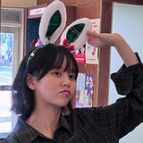 小狗的兔耳朵