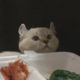 三七
