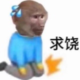 🫡