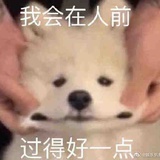 京踩杰伦