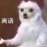 菠萝就是凤梨