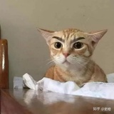 糯拉