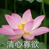 干啥与你无关